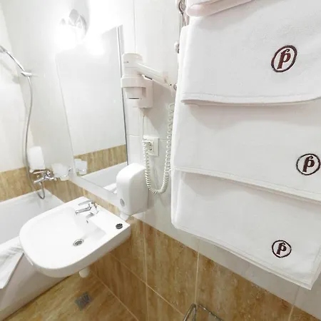 Отель Hotel Rubel 3*